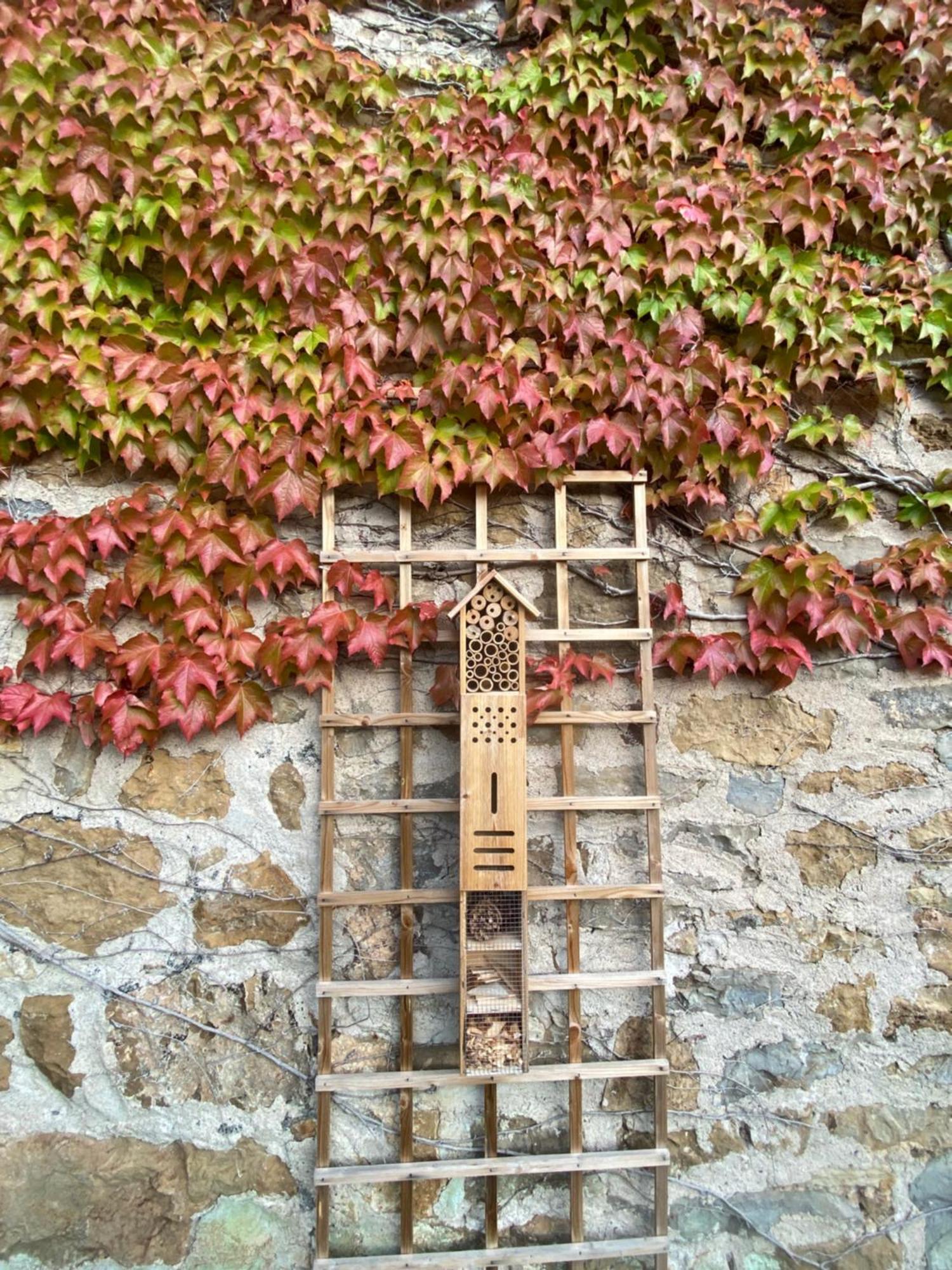 Les Caselles, Gite Et Maison D'Hotes Saint-Beauzely Bagian luar foto
